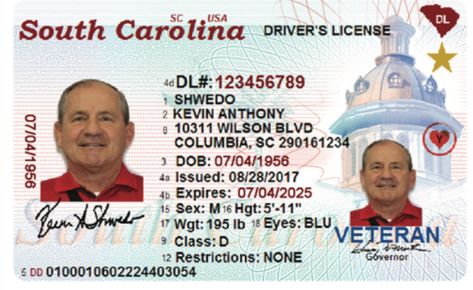south carolina drivers license